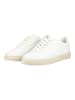 Scotch & Soda Sneaker in Cream