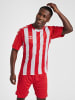 Hummel Trikot S/S Hmlcore Xk Striped Jersey S/S in TRUE RED/WHITE