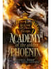 Nova MD Buch - Academy of the Golden Phoenix 1