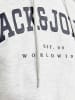 Jack & Jones Kapuzenpullover in White Melange