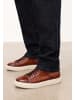 Kazar Sneaker Low in Braun