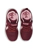 Hummel Hummel Klettverschluss Sneaker Actus Lebensstil Kinder in VINEYARD WINE
