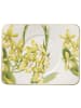 Villeroy & Boch Teeuntertasse Amazonia in 17 x 14 cm in bunt