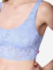 Joop! Jeans Bustier Allover Lace in Serenity