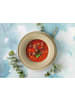 Seltmann Weiden 12er Set Tafelservice Beat Color Glaze in beige-grau