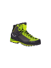Salewa Wanderschuh MS Crow Gtx in Cactus/Sulphur Spring