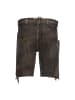 Stockerpoint Lederhose Sigl in dunkelbraun