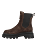 BLAUER USA Stiefelette KIMMEL Dunkelbraun