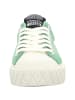 Palladium Sneaker Low in grün