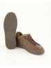 BLAUER USA Sneaker low in Braun