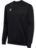 Hummel Hummel Sweatshirt Hmlgo Multisport Unisex Erwachsene in BLACK