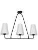 Licht-Erlebnisse Deckenlampe (B)15 x (L)90 x (H)57 cm in Schwarz Grau