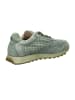 Cetti Sneaker Low in Grün