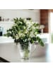 Villeroy & Boch Krug Boston in Transparent 1,3 l in transparent