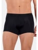 HOM Retro Short / Pant Supersoft in Schwarz / grün