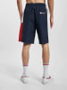 Tommy Hilfiger Shorts in colored