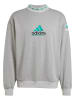 adidas adidas Rundhalsausschnitt in mgreyh