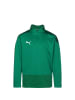 Puma Sweatshirt teamGOAL 23 in grün / dunkelgrün