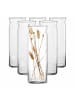 Ritzenhoff & Breker 6er Set Vasen Dalia in Transparent 35 cm in transparent