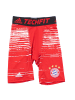 adidas Shorts TF FC Bayern München Base Layer Tight in Rot