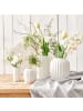 Butlers Vase LIV 4er-Set in Weiß