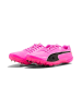 Puma Sportschuh "evoSPEED Prep Sprint 3.5" in Pink