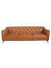Angel Cerdá Chester-Sofa 6169 in Braun / Stahl