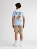 Petrol Industries Twill-Chino-Shorts Comondú in Braun