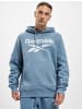 Reebok Kapuzenpullover in blusla