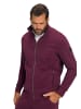 JP1880 Sweatjacke in aubergine