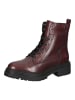 Geox Stiefelette in Bordeaux