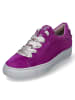 Paul Green Low Sneaker in Violett