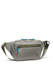 CHROME Sabin 6 - Gürteltasche 23 cm (mauve) in sage