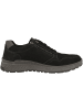 Camel Active Sneaker low 54WOA05 in schwarz