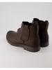 Pius Gabor Chelsea Boots in Braun