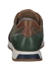 Galizio Torresi Sneakers Low in OLIVA-OLIV.BUC-SET