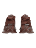 Steve Madden Sneaker MAXOUT Dunkelbraun