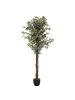 Atmosphera Créateur d'intérieur Künstlicher Ficus in grün