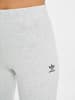adidas adidas Damen adidas Loungewear Adicolor in light grey heather