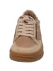 Paul Green Schnürschuhe in dakar/tan