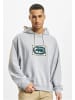 Ecko Kapuzenpullover in grey