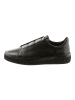 Högl Sneaker in Schwarz