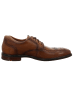 LLOYD Business Schnürschuh in braun