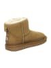 ara Winterboots in Braun
