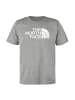 The North Face Evolution Half Dome Regular T-Shirt in Grau