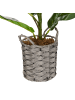 Beliani Kunstpflanze FIDDLE LEAF TREE in Grün/Schwarz - (W) 47 x (H) 72 x (L) 47 cm