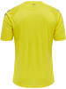 Hummel Hummel T-Shirt Hmlcore Multisport Erwachsene Schnelltrocknend in BLAZING YELLOW/TRUE BLUE