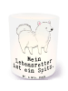 Mr. & Mrs. Panda Glas Windlicht Spitz Lebensretter mit Spruch in Transparent