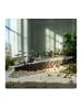 relaxdays Aquarium Deko "Titanic" in Bunt - (B)38,5 x (H)9 x (T)5 cm