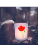 Mr. & Mrs. Panda Glas Teelichthalter Blume Mohnblume ohne Spruch in Transparent